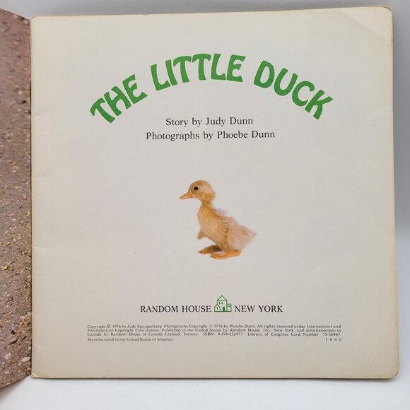 Vintage Please Read to Me The Little Duck Puppy Rabbit Childrens Book Lot BK048 - Picture 5 of 11